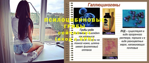 PSILOCYBIN Карталы
